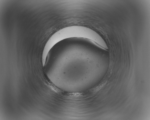 X0000058790288200510171328