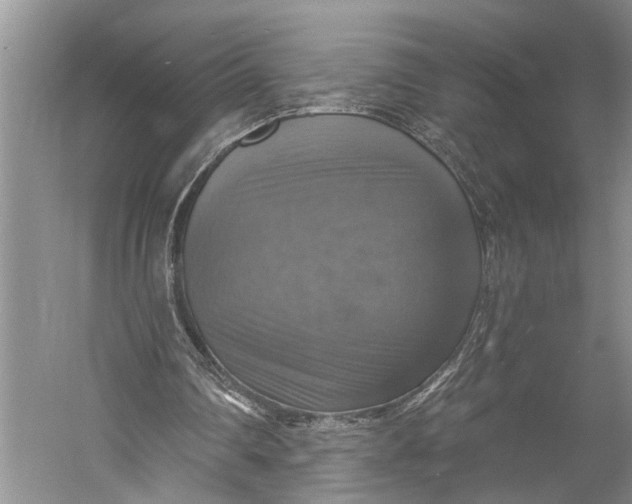 X0000058790290200510171327