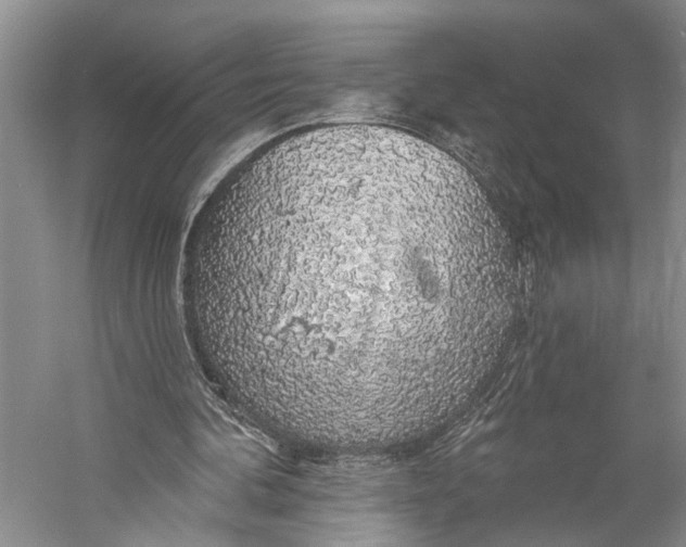 X0000058790292200510171327