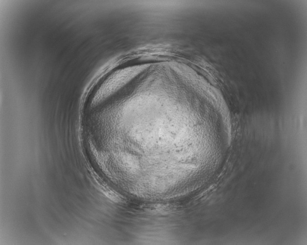 X0000058790293200510171327