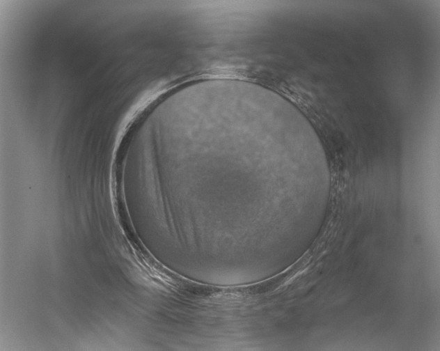 X0000058790294200510171327