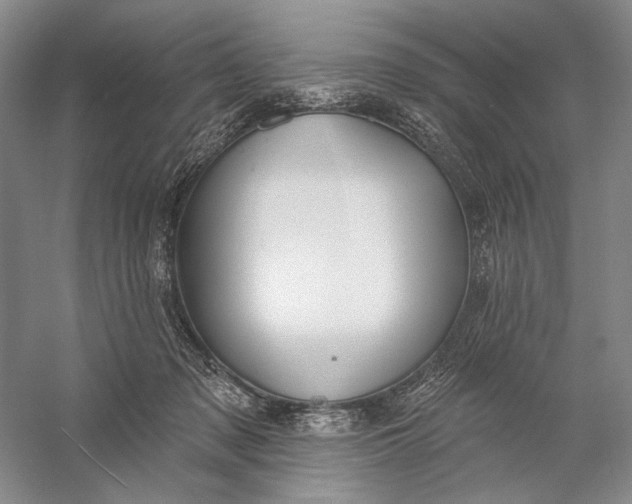 X0000058790317200510171327