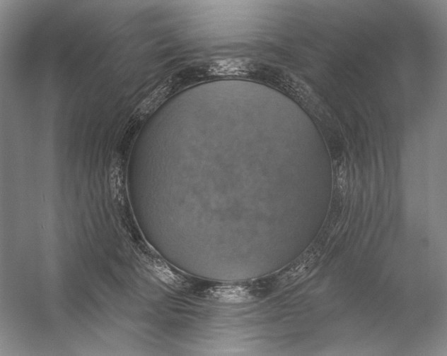 X0000058790322200510171327