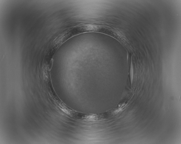 X0000058790325200510171327