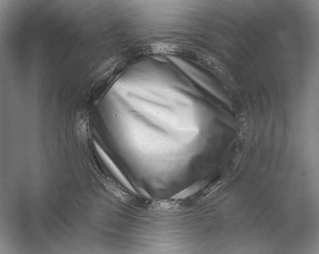 X0000058790329200510171327