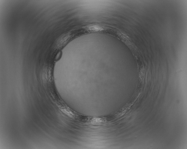 X0000058790330200510171327