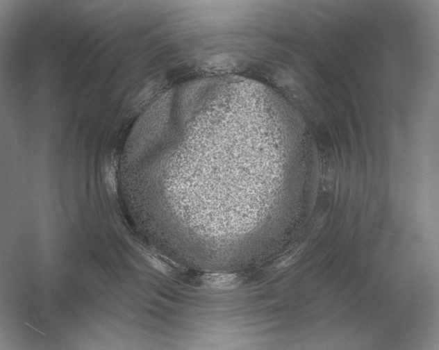 X0000058790334200510171327