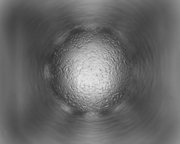 X0000058790335200510171327