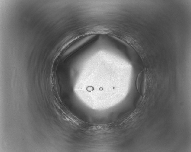 X0000058790338200510171326