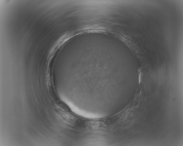 X0000058790339200510171326
