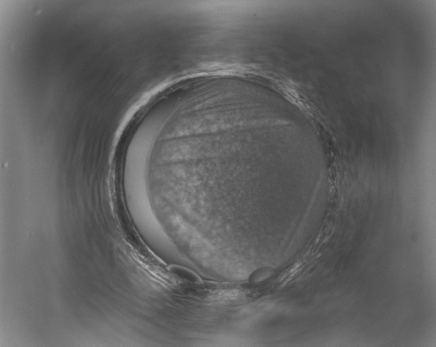 X0000058790342200510171326