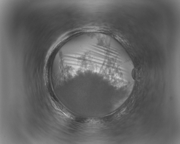 X0000058790343200510171326