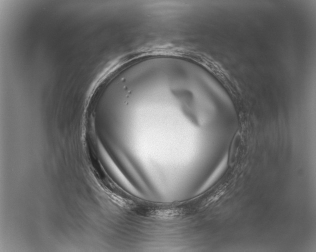 X0000058790344200510171326