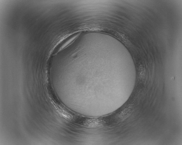 X0000058790351200510171326