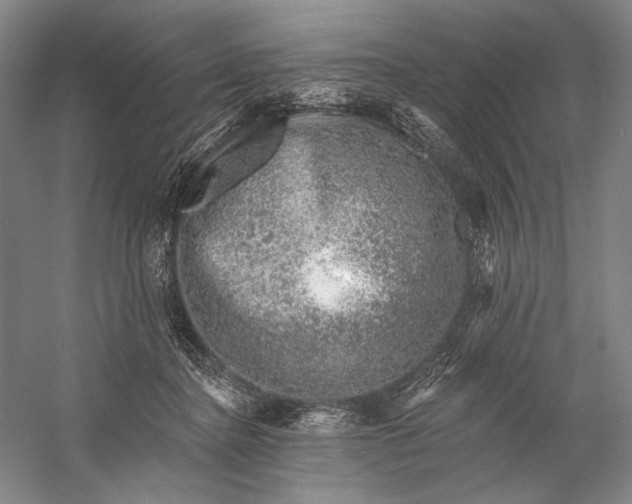 X0000058790364200510171326