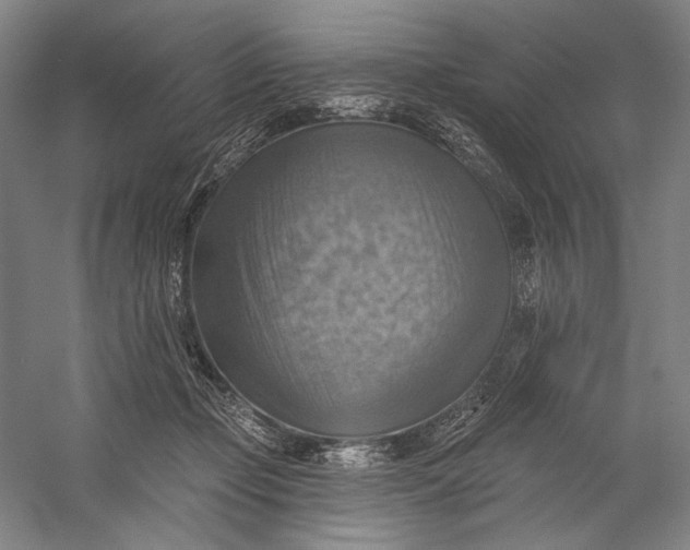 X0000058790365200510171326