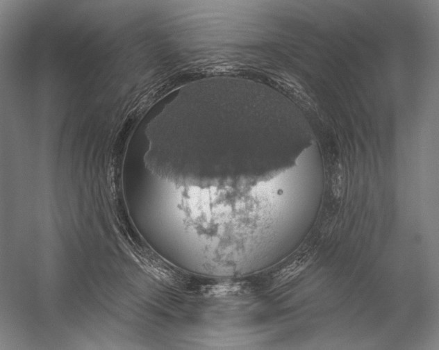 X0000058790366200510171326