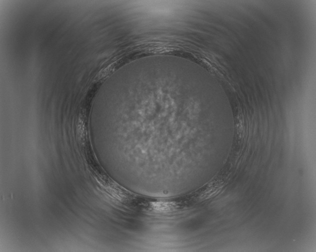 X0000058790371200510171326