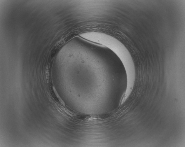 X0000058790372200510171326