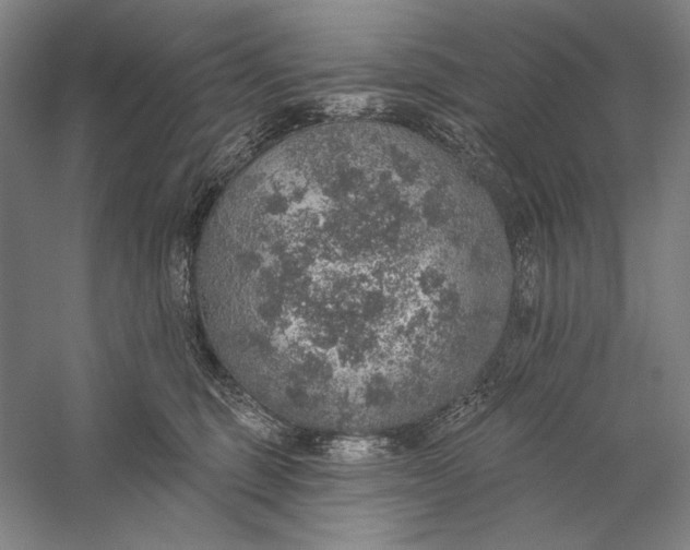 X0000058790375200510171326
