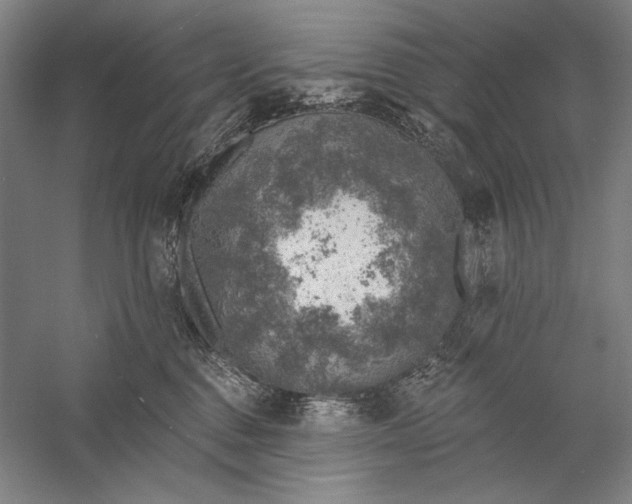 X0000058790376200510171326