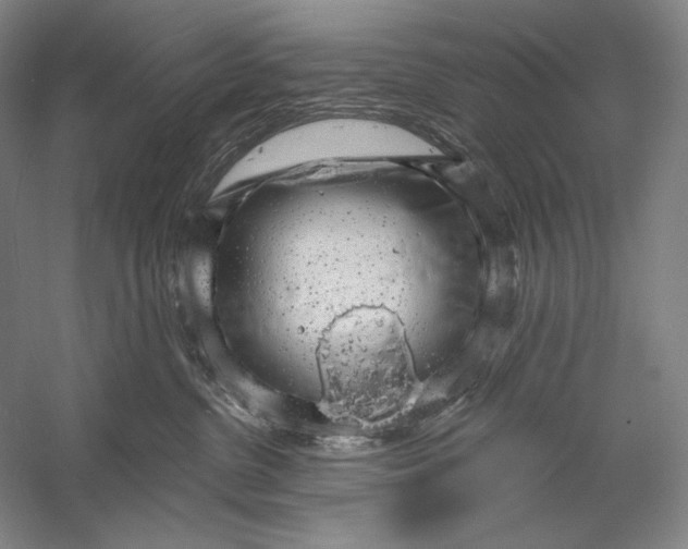 X0000058790380200510171326
