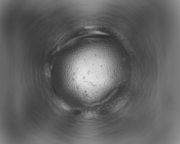 X0000058790384200510171326
