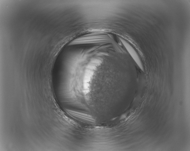 X0000058790385200510171326