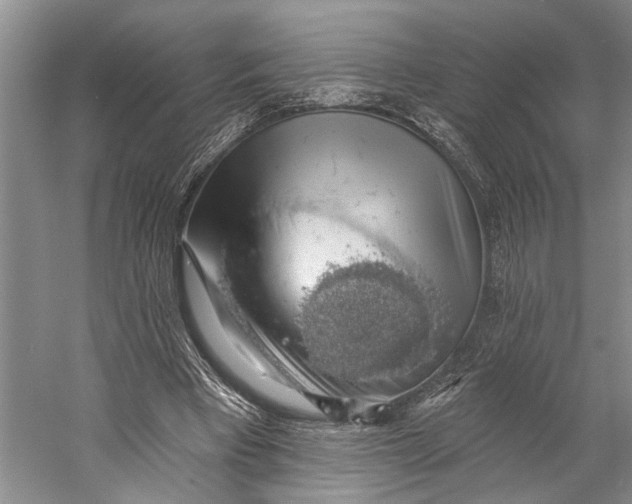 X0000058790393200510171326