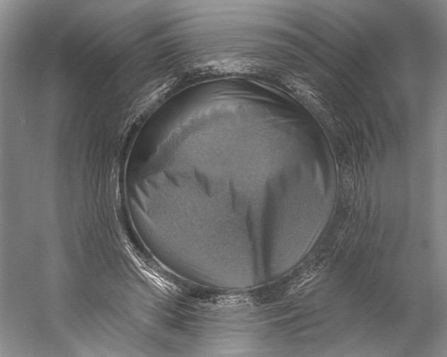 X0000058790398200510171325