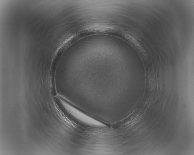 X0000058790399200510171325