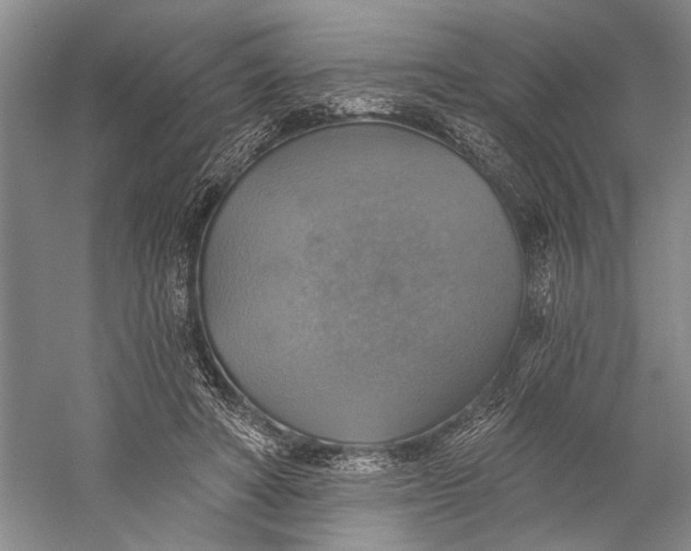 X0000058790402200510171325