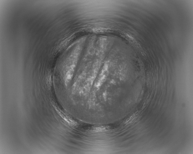 X0000058790405200510171325