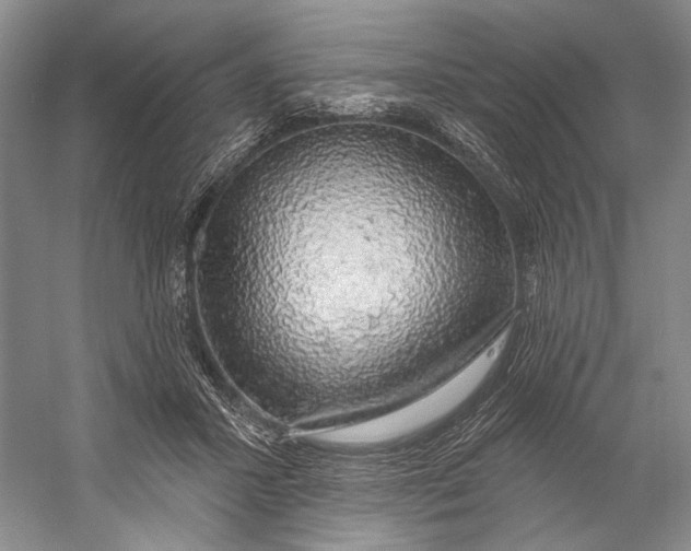 X0000058790407200510171325