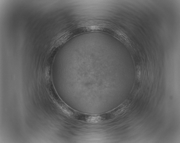 X0000058790410200510171325