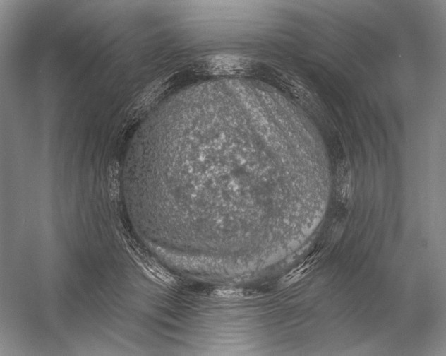 X0000058790413200510171325