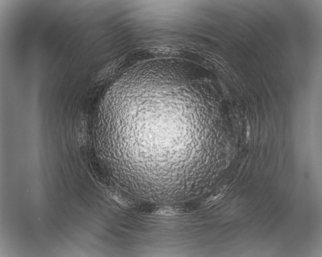 X0000058790416200510171325