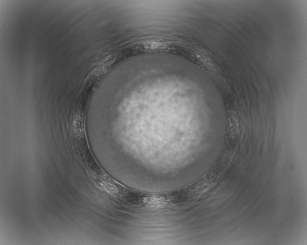 X0000058790419200510171325