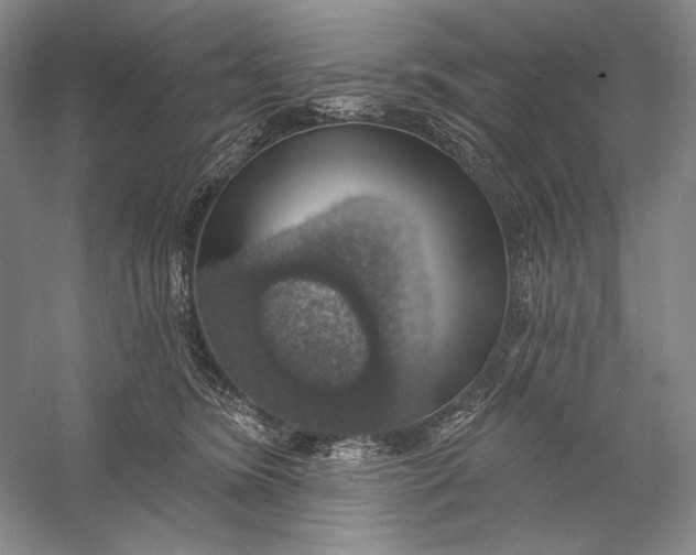 X0000058790420200510171325
