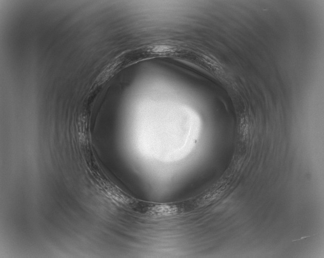 X0000058790421200510171325