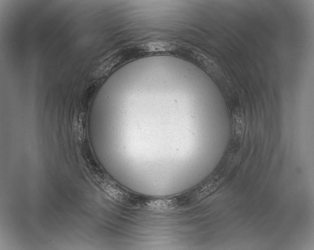 X0000058790422200510171325