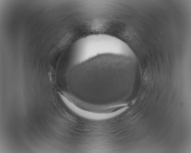 X0000058790424200510171325