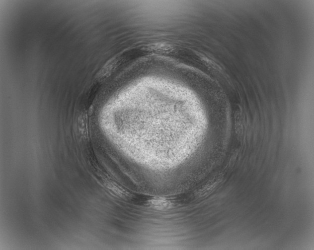 X0000058790425200510171325
