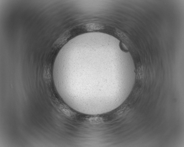 X0000058790426200510171325
