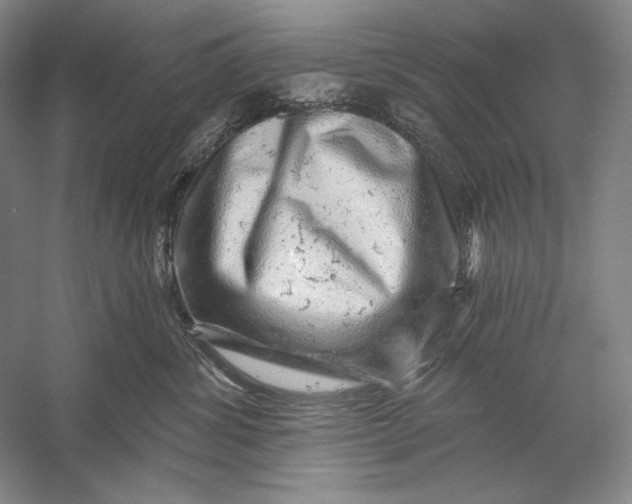 X0000058790428200510171325