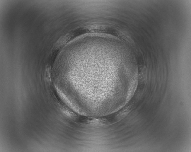 X0000058790430200510171325