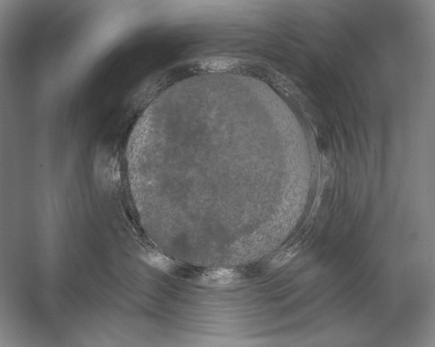 X0000058790431200510171325