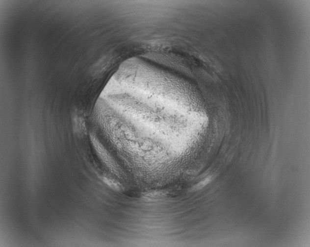 X0000058790432200510171325