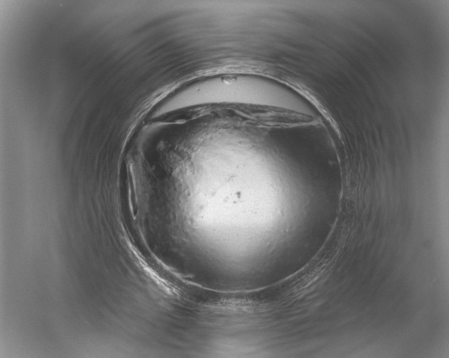 X0000058790437200510171324