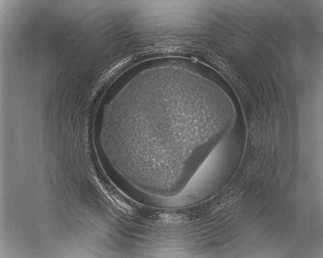X0000058790442200510171324